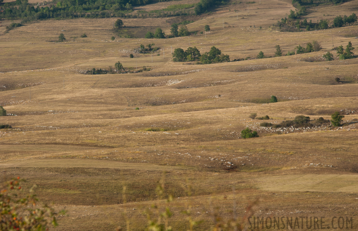 Bosnien und Herzegowina -  [210 mm, 1/250 Sek. bei f / 11, ISO 400]